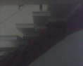 /album/fotos-trabalhos/img0017b-3-copia-jpg/
